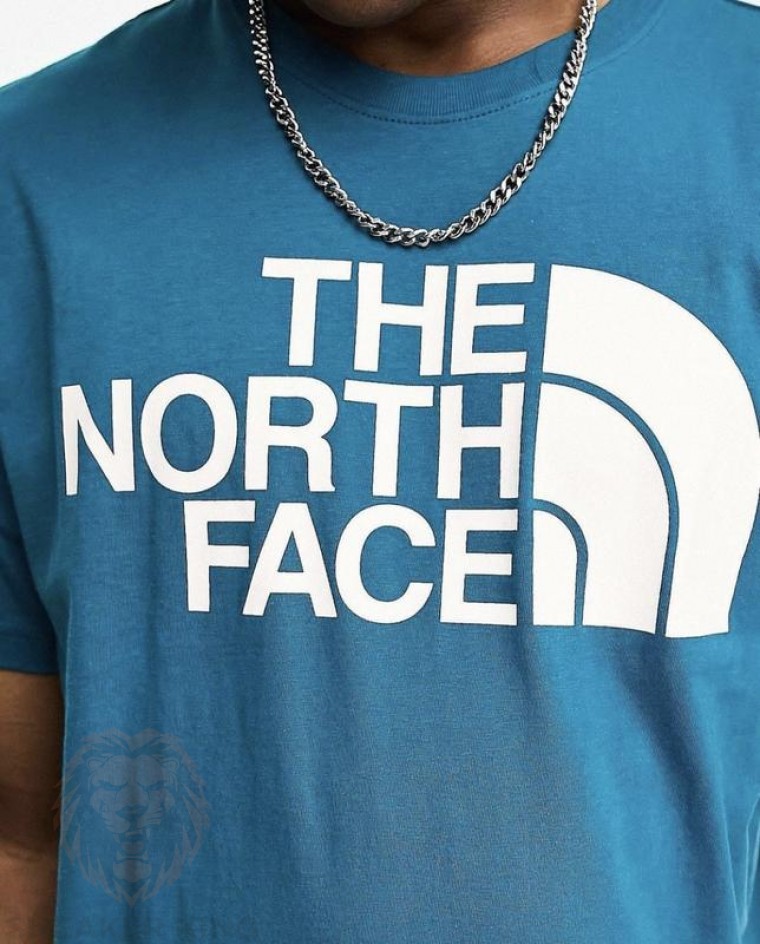 Футболка The North face logo t-shirt
